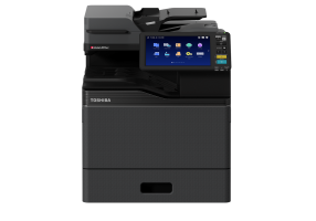 e STUDIO401AC zuschnitt v2