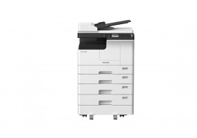 eS2829A RADF 4cst F AB NBG LR